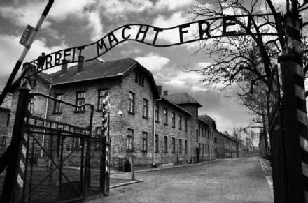 VENARIA-DRUENTO - Dall'Ulivo di Gerusalemme alla mostra su Anna Frank: le iniziative in programma