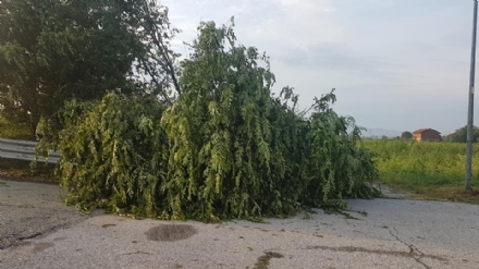 VENARIA-BORGARO-CASELLE-MAPPANO - Maltempo: tetti scoperchiati e alberi abbattuti