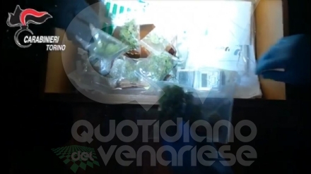 RIVOLI - Si presenta dai carabinieri per una denuncia e finisce arrestato per possesso di droga