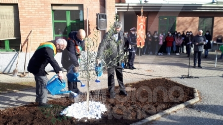 VENARIA - Alla scuola Lessona l'Ulivo di Gerusalemme per non dimenticare l'Olocausto - FOTO