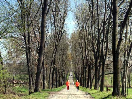 PARCO LA MANDRIA - Riapre l'ultimo tratto di Strada del Brero. Gli appuntamenti dal 29 agosto al 4 settembre