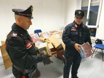 VENARIA - Vendevano frutta, verdura e fuochi d'artificio: denunciata famiglia di Venaria
