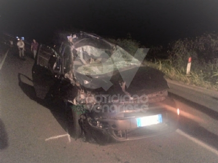 SAN GILLIO - Sangue sulla strada: due cavalli investiti e uccisi, un cavaliere di Druento gravissimo al Cto