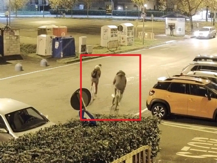 BORGARO - Ladri di biciclette subito identificati dalla polizia municipale