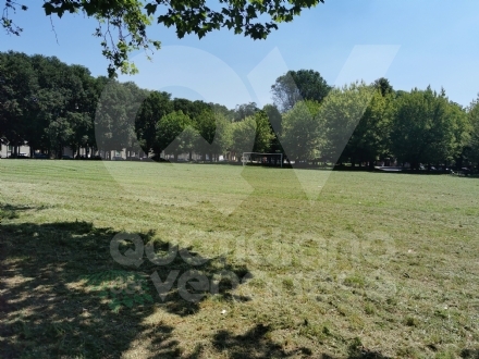 VENARIA - Tra polemiche e critiche, continua il taglio dell'erba in città: gli interventi da lunedì 31