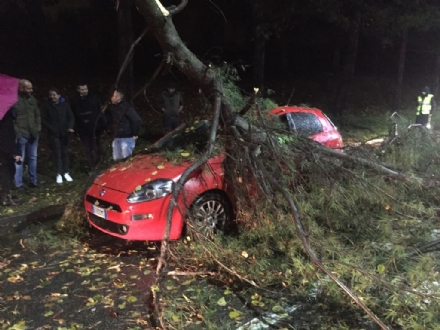 MALTEMPO - Albero e una insegna crollati sulle auto, strade allagate