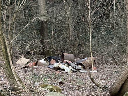 COLLEGNO - La denuncia di Lega e Fdi: «Una discarica abusiva in via San Martino» - FOTO