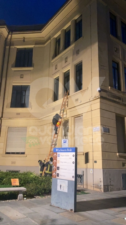 VENARIA - Tre nidi di calabroni sulla facciata della «De Amicis»: rimossi dai vigili del fuoco - FOTO