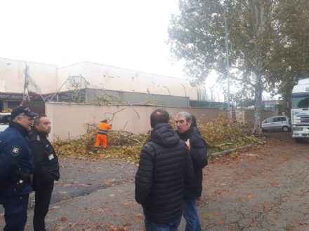 VENARIA - MALTEMPO: Parte la conta dei danni. Sopralluogo del sindaco in tutta la città