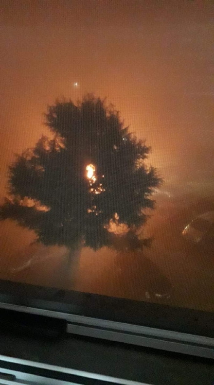 MAPPANO - A fuoco undici cassonetti dei rifiuti in via Torazza: danneggiata un'auto