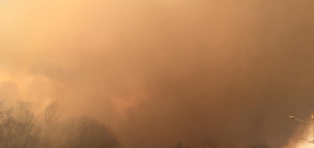 VAL DELLA TORRE-CASELETTE - L'incendio ai piedi del Musiné è spento: ora indaga la Forestale