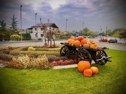 HALLOWEEN - Gli appuntamenti in programma a Venaria, Savonera, Druento, Caselle e Mappano