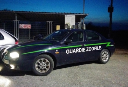 VENARIA REALE - Maltrattamenti sugli animali: controlli delle guardie zoofile in città