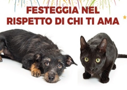 ORDINANZA CONTRO I BOTTI - I Comuni che l'hanno firmata e quelli che si sono astenuti dal farlo