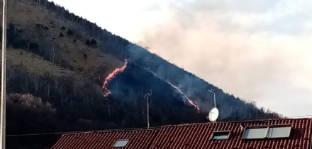 CAFASSE - Spento un nuovo incendio sul Monte Basso: lavoro per vigili del fuoco e Aib