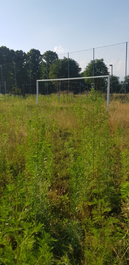 VENARIA - Muri pericolanti ed erba alta: degrado nel campo «naturale» del Don Mosso