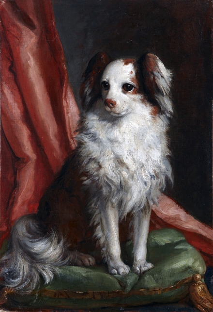 VENARIA - Alla Reggia la mostra «Cani in posa» prorogata fino a maggio