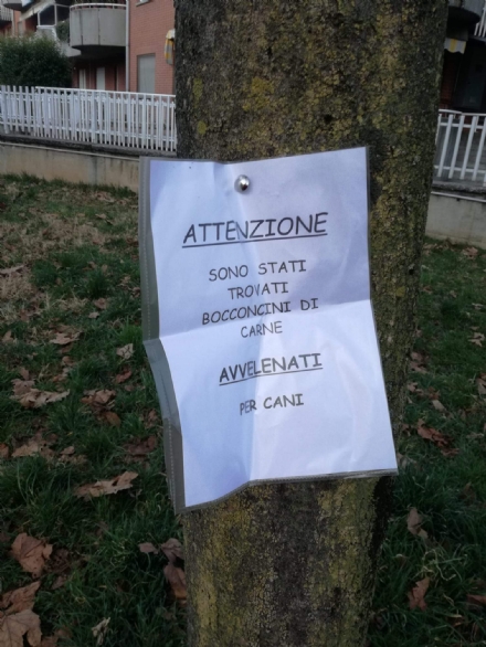 VENARIA - Allarme bocconi avvelenati in città: cosa fare in questi casi