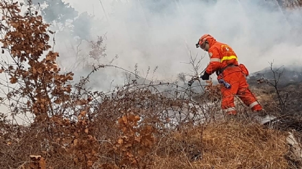 VAL DELLA TORRE-GIVOLETTO - I carabinieri confermano: gli incendi boschivi erano dolosi
