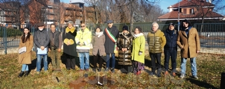 VENARIA - «Festa della Nascita»: cinque nuovi alberi nelle scuole Rigola e Boccaccio - FOTO