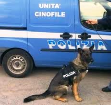 RIVOLI - Spaccio di droga dentro e fuori la scuola: un arresto e due denunciati