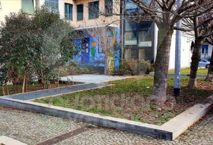 VENARIA - Il nuovo volto di piazza Pettiti: alberi e arbusti potati, fontana in funzione in primavera
