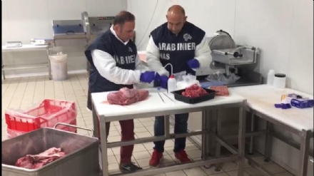 CRONACA - Carne trattata con bisolfito di sodio per renderla vendibile: quattro denunciati