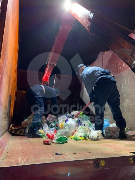 BORGARO - «Ci sono degli animali nei bidoni della plastica»: civich e carabinieri in via Santa Cristina