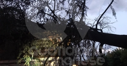 MAPPANO - Il forte vento fa cadere un albero di grosso fusto su una casa in via Meucci