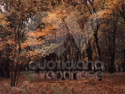 PARCO LA MANDRIA - I nuovi orari e i servizi chiusi dopo l'entrata in vigore del nuovo Dpcm