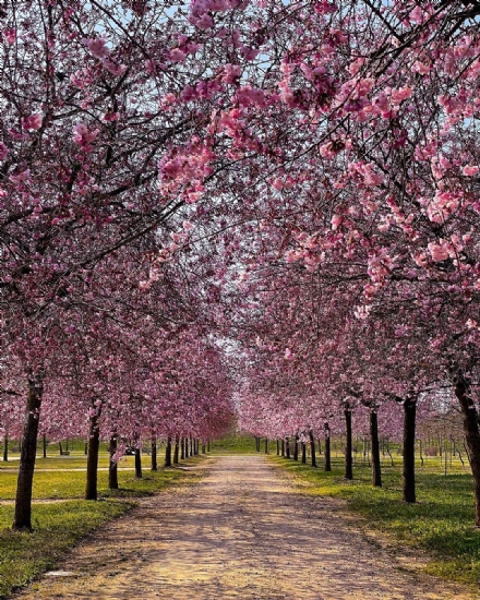 VENARIA - Gli eventi in Reggia e al parco La Mandria per Pasqua e Pasquetta