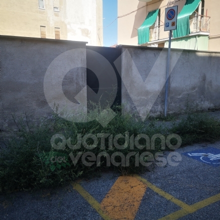 VENARIA - LA SEGNALAZIONE: L'erba alta nasconde il parcheggio per portatori di disabilità