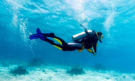 ALPIGNANO - Volontaria della Croce Verde si perde nel Mar Ligure durante una immersione