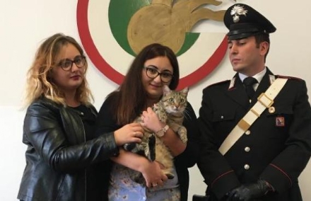 TORINO-GRUGLIASCO - Chiede il riscatto per un gattino: arrestata dai carabinieri di Grugliasco