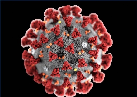 MAPPANO - Comuni piemontesi, Università e Politecnico di Torino  uniti per combattere il Coronavirus