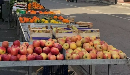 BORGARO - I mercati rionali nella settimana dal 14 al 19 agosto: la decisione su Ferragosto