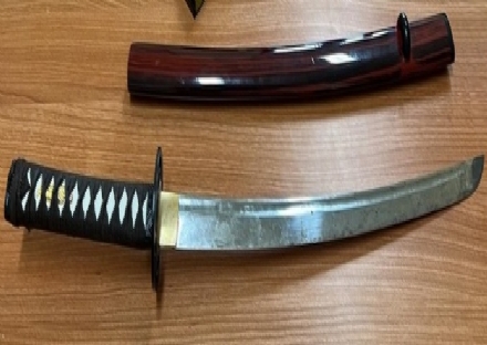 COLLEGNO - Al «Flowers» con katana, cacciavite e martello, aggredisce i carabinieri: arrestato