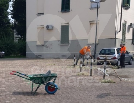 VENARIA - Il grande lavoro dei cantieristi: estirpano le erbacce, tinteggiano le aule e puliscono le aiuole - FOTO