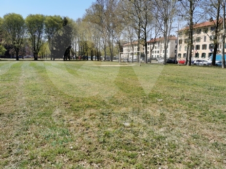 VENARIA - Partito il taglio dell'erba in città: le zone fatte e quelle future