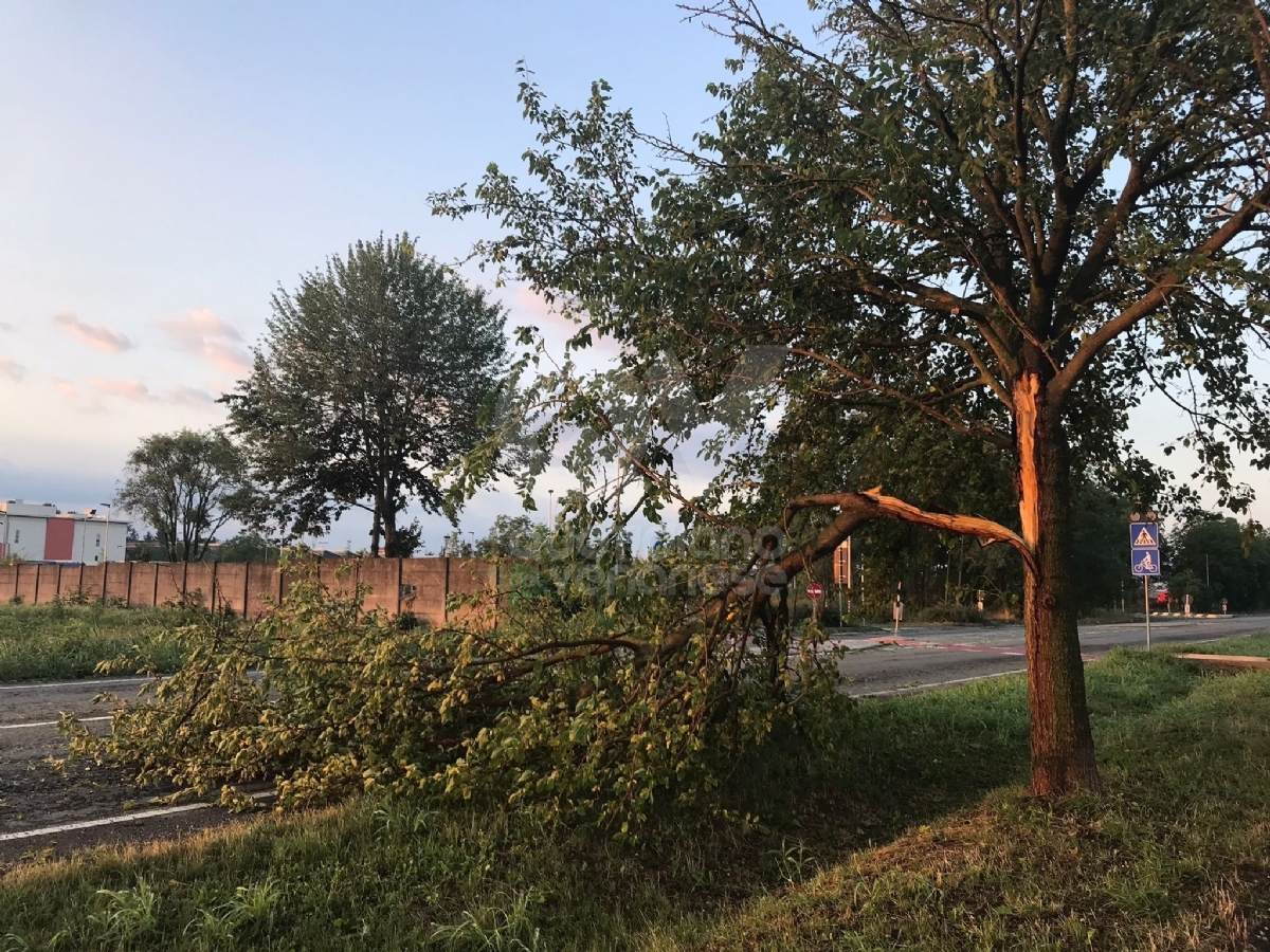 GRANDINATA A VENARIA - Danneggiata la De Amicis, caduti decine di alberi, auto rovinate. Giulivi: «Chiederemo la calamità naturale» - FOTO