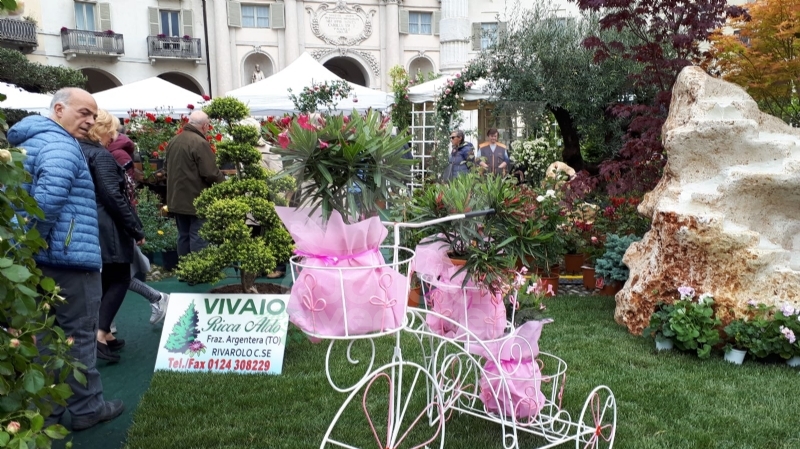 VENARIA - «Festa delle Rose»: un successo a metà per colpa della pioggia