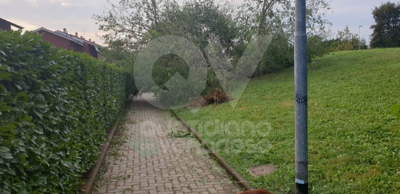 VENARIA-BORGARO-CASELLE-MAPPANO - Maltempo: tetti scoperchiati e alberi abbattuti