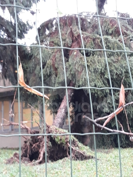 VENARIA - MALTEMPO: Parte la conta dei danni. Sopralluogo del sindaco in tutta la città