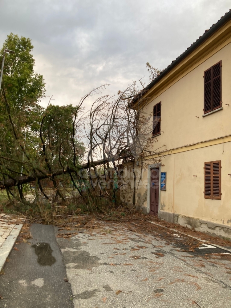 MALTEMPO A COLLEGNO - Chiusi alcuni accessi del cimitero, danni al Campo Volo e a Villa Licia - FOTO