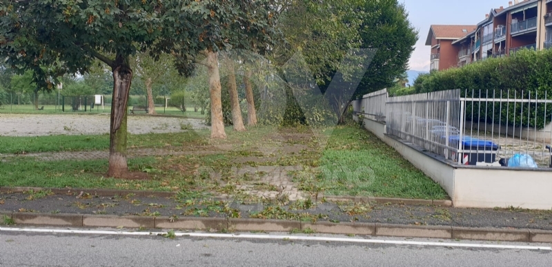 VENARIA-BORGARO-CASELLE-MAPPANO - Maltempo: tetti scoperchiati e alberi abbattuti