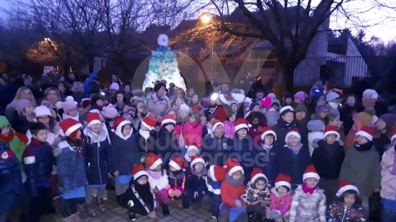 VENARIA - Alla Romero ecco l'albero creativo: realizzato con le bottiglie di plastica vuote