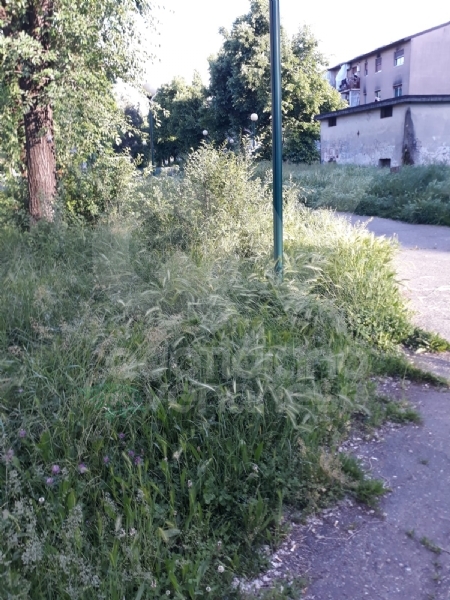 VENARIA - Erba alta, scarsa illuminazione e una materna con problemi...