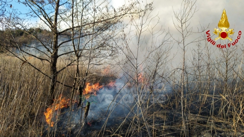 CASELETTE-VAL DELLA TORRE - Incendio sul Musiné: situazione sotto controllo
