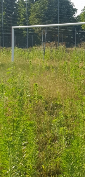 VENARIA - Muri pericolanti ed erba alta: degrado nel campo «naturale» del Don Mosso