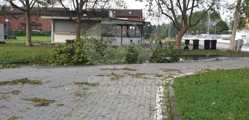 VENARIA-BORGARO-CASELLE-MAPPANO - Maltempo: tetti scoperchiati e alberi abbattuti